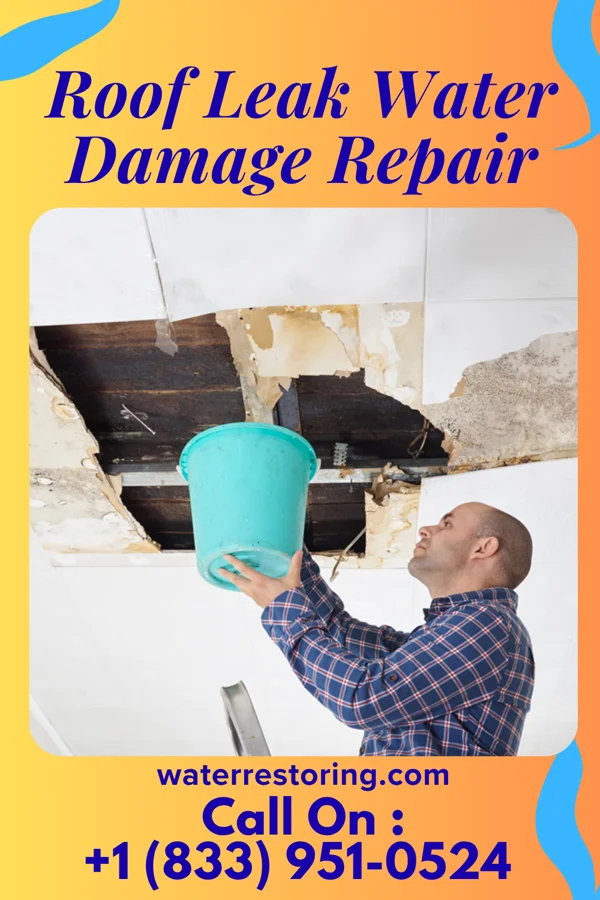 Roof Leak Water Damage Repair in Hobson, MT